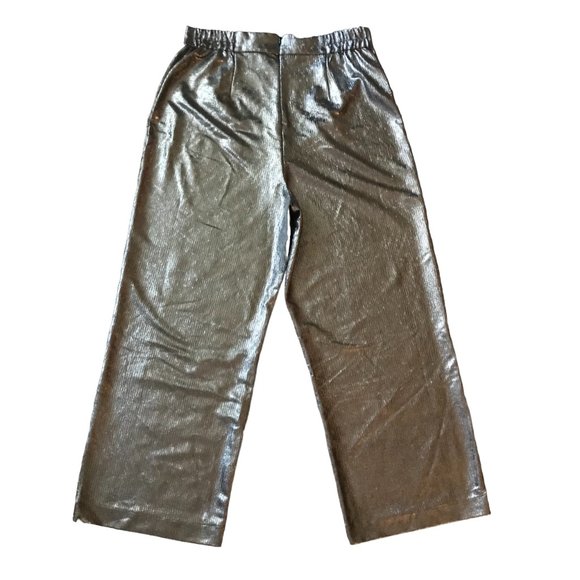 NWT Anthropologie Hutch Silver Metallic Wide Leg Pants Size 1X - Picture 2 of 6